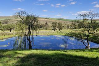 9 Bedroom Property for Sale in Stanford Western Cape